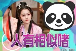 娱乐大瓜爆料小说推荐