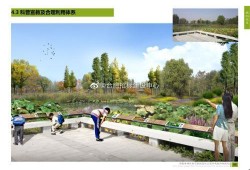 安徽公园爆料视频大全,揭秘公园里的那些事儿