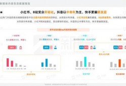 媒体爆料视频号违法吗怎么举报,视频号涉嫌违法？揭秘举报途径与法律边界