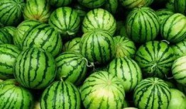 庆阳网红吃瓜群微信,揭秘网络社交圈的趣味与争议