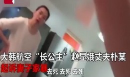 家暴视频大全爆料,家暴视频大全深度剖析