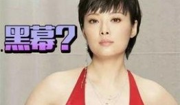 袁立阿姨爆料事件视频,揭秘背后真相