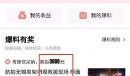 头条爆料入口视频,独家内容抢先看！