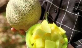 娱乐圈吃瓜橘子,揭秘明星背后的故事