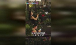 湛江主播爆料视频大全集,揭秘城市热点事件与幕后真相