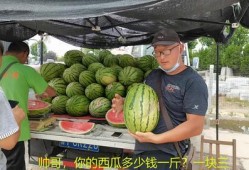 潮汕网红吃瓜事件真相视频,揭秘真相背后的惊人内幕