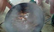 爆料火锅做法视频大全,揭秘热门视频中的火锅做法大全