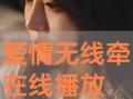 爱情无线牵在线观看,跨越时空的浪漫邂逅
