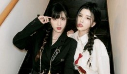 王力宏前妻最新爆料视频,视频爆料引发舆论风暴