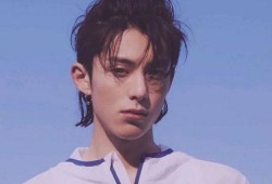 王鹤棣学生爆料了吗视频,揭秘校园生活幕后真相