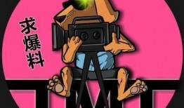 吃瓜娱乐xr,揭秘虚拟世界中的明星八卦盛宴