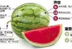 庆阳网红吃瓜群微信,揭秘网络社交圈的趣味与争议