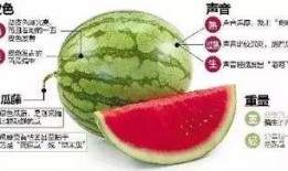 庆阳网红吃瓜群微信,揭秘网络社交圈的趣味与争议