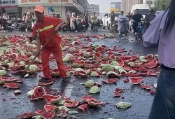 吃瓜网红翻车事件真相揭秘,揭秘背后惊人内幕