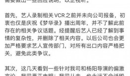 刘一飞爆料黄磊视频播放,刘一飞揭露黄磊视频播放背后真相