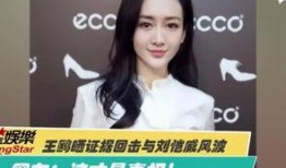 张薇好友爆料视频是真的吗,张薇好友爆料视频真实性揭秘