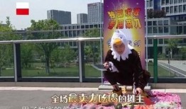 全员摆摊爆料视频大全最新