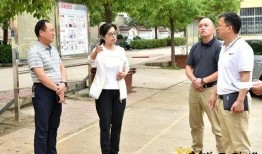 怎么拍爆料视频照片教程,如何拍摄高质量爆料视频与照片教程