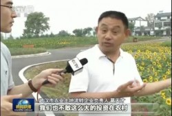 快乐吃瓜娱乐新闻视频在线观看,热门吃瓜娱乐新闻视频在线观看指南