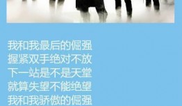 爆料五月天原视频,幕后故事与精彩瞬间大公开