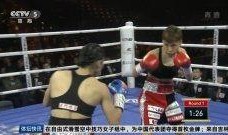 最新拳击爆料新闻视频,揭秘赛场背后惊人内幕！