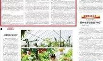天津日报新闻爆料,揭秘某重大事件背后真相