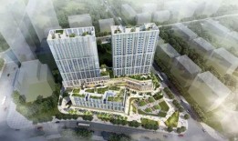 深圳佳兆业最新爆料,揭秘球队幕后故事与未来展望