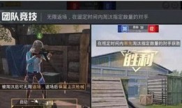 流浪者最新爆料视频播放,揭秘视频背后的惊人真相