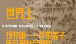 小鲜肉多肉馆爆料视频播放,视频播放量惊人揭秘馆内魅力
