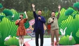 鸡哥最新爆料视频大全下载,揭秘娱乐圈幕后真相