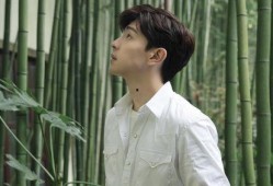 娱乐爆料社邓伦,娱乐爆料社独家揭秘，明星背后的故事