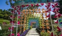 风车爆料最新,风车爆料最新动态，带你领略科技前沿