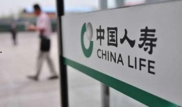 中国人寿最新爆料,揭秘保险行业内幕与变革动向