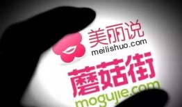 美丽说茶最新爆料,茶界新宠儿的神秘面纱