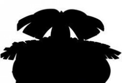 绝密大爆料视频,视频内容深度解析