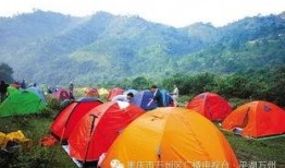 山野在线观看,探寻自然之美，在线共赏绝美风光