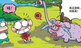 小呆呆最新爆料,娱乐圈最新爆料大起底！