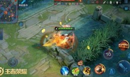 王者皮肤八戒爆料视频