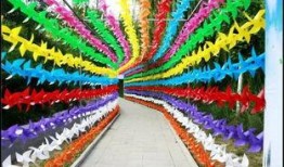 风车爆料最新,风车爆料最新动态，带你领略科技前沿