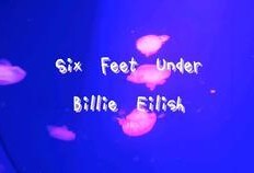 碧梨最新爆料消息视频播放,惊人内幕大公开！