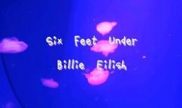 碧梨最新爆料消息视频播放,惊人内幕大公开！