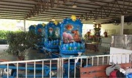 天冠游乐场爆料视频大全,揭秘刺激娱乐背后的精彩瞬间