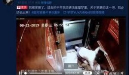 家暴视频爆料者