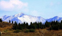 山野在线观看,探寻自然之美，在线共赏绝美风光