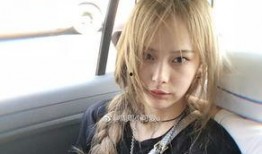 周周小可爱最新爆料,揭秘娱乐圈最新热点事件