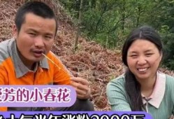 是谁爆料小春花的视频播放,神秘爆料者揭露小春花视频播放之谜