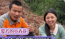 是谁爆料小春花的视频播放,神秘爆料者揭露小春花视频播放之谜