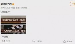 爆料视频可以配音吗,幕后真相一探究竟