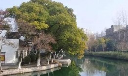 安徽公园爆料视频大全,揭秘公园里的那些事儿