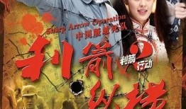 利箭纵横全集在线观看